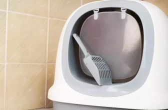 How Do Self-Cleaning Litter Boxes Improve Cat Hygiene?
