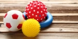 How Can You Find Affordable and Safe Dog Toys?