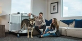 The Top Dog Crates for Home and Travel